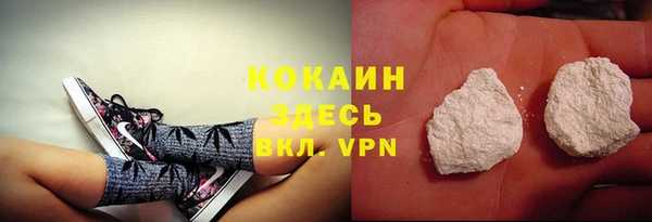 дурь Осташков