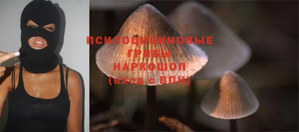 молекула духа Остров