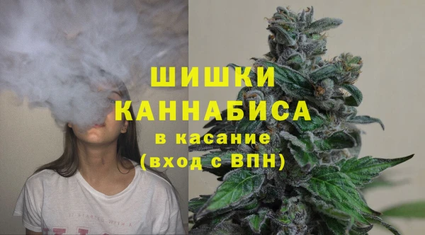spice Осинники