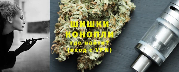 spice Осинники