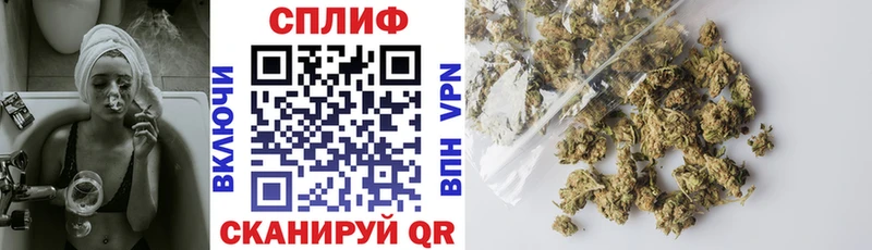 Купить где  Кизилюрт  Бошки Шишки SATIVA & INDICA 